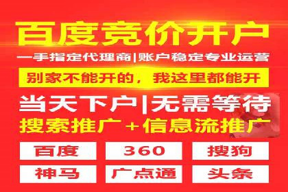 百度推广排名案例报告：某行业巨头如何运用其占领市场高地